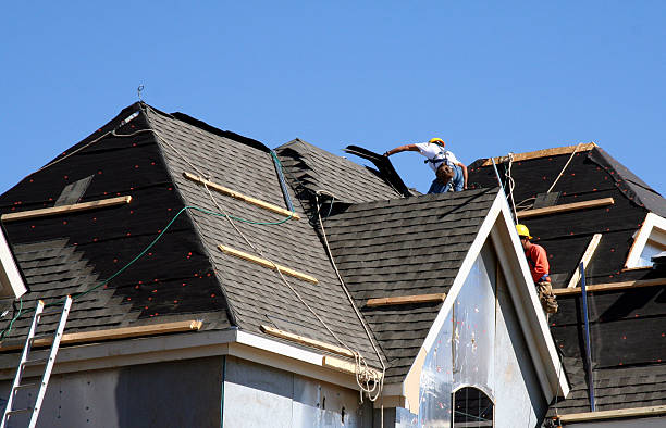 Best Roof Gutter Cleaning  in Rogers City, MI