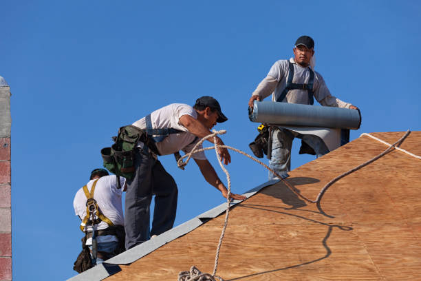 Best Roof Installation Near Me  in Rogers City, MI