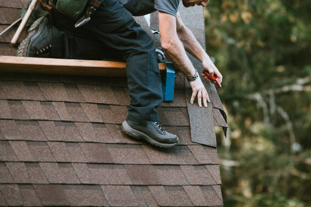 Best Shingle Roofing Installation  in Rogers City, MI