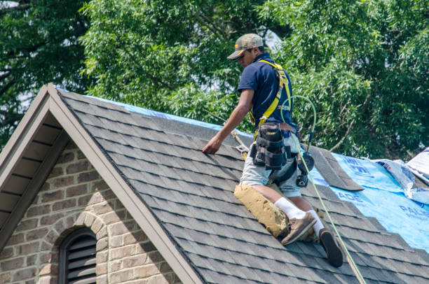 Best Roofing Contractors for Homes  in Rogers City, MI